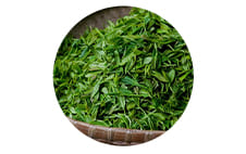 Ingredient 2