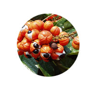 Ingredient 3